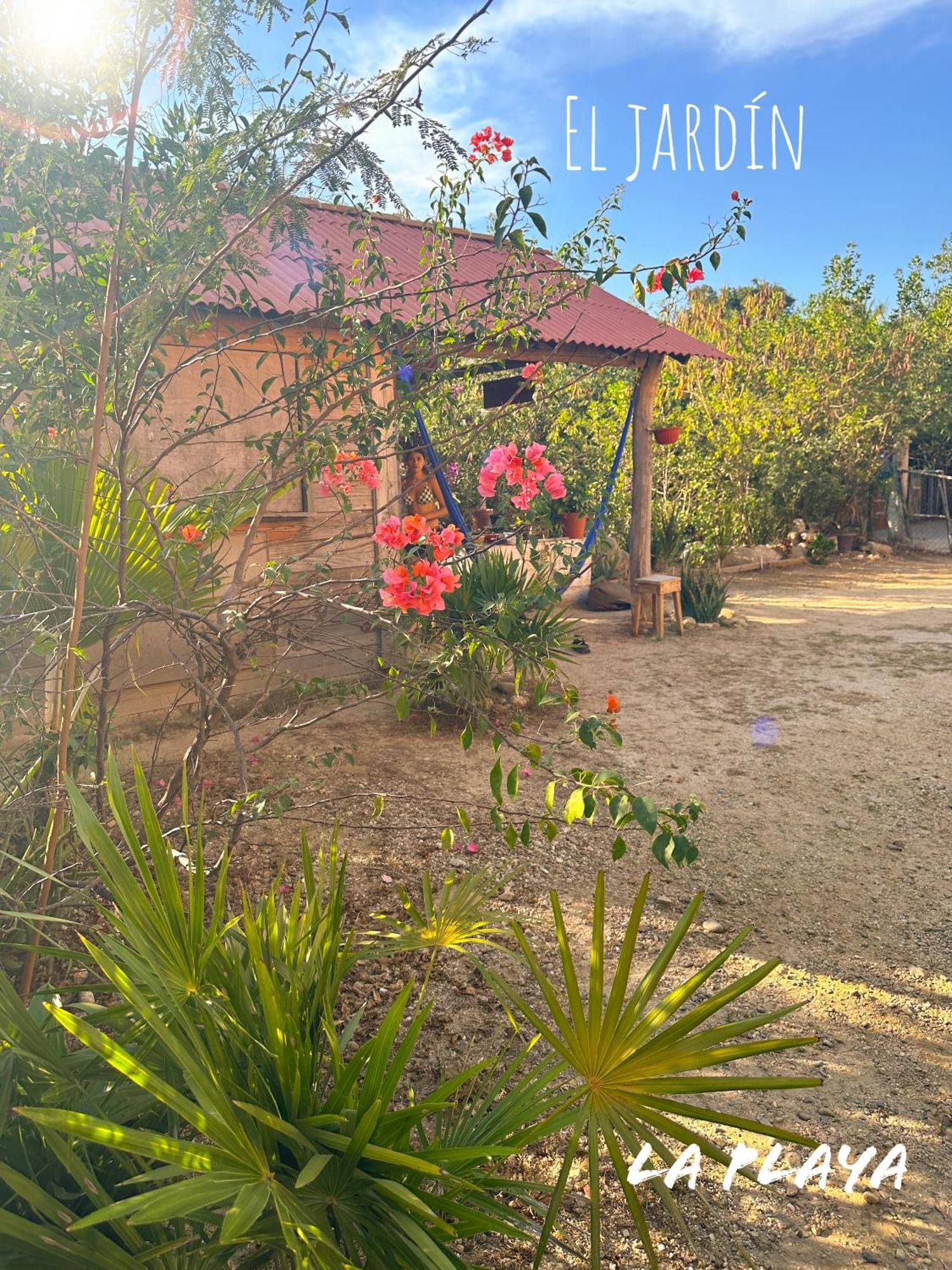 Hotel La Playa Mazunte Exterior photo