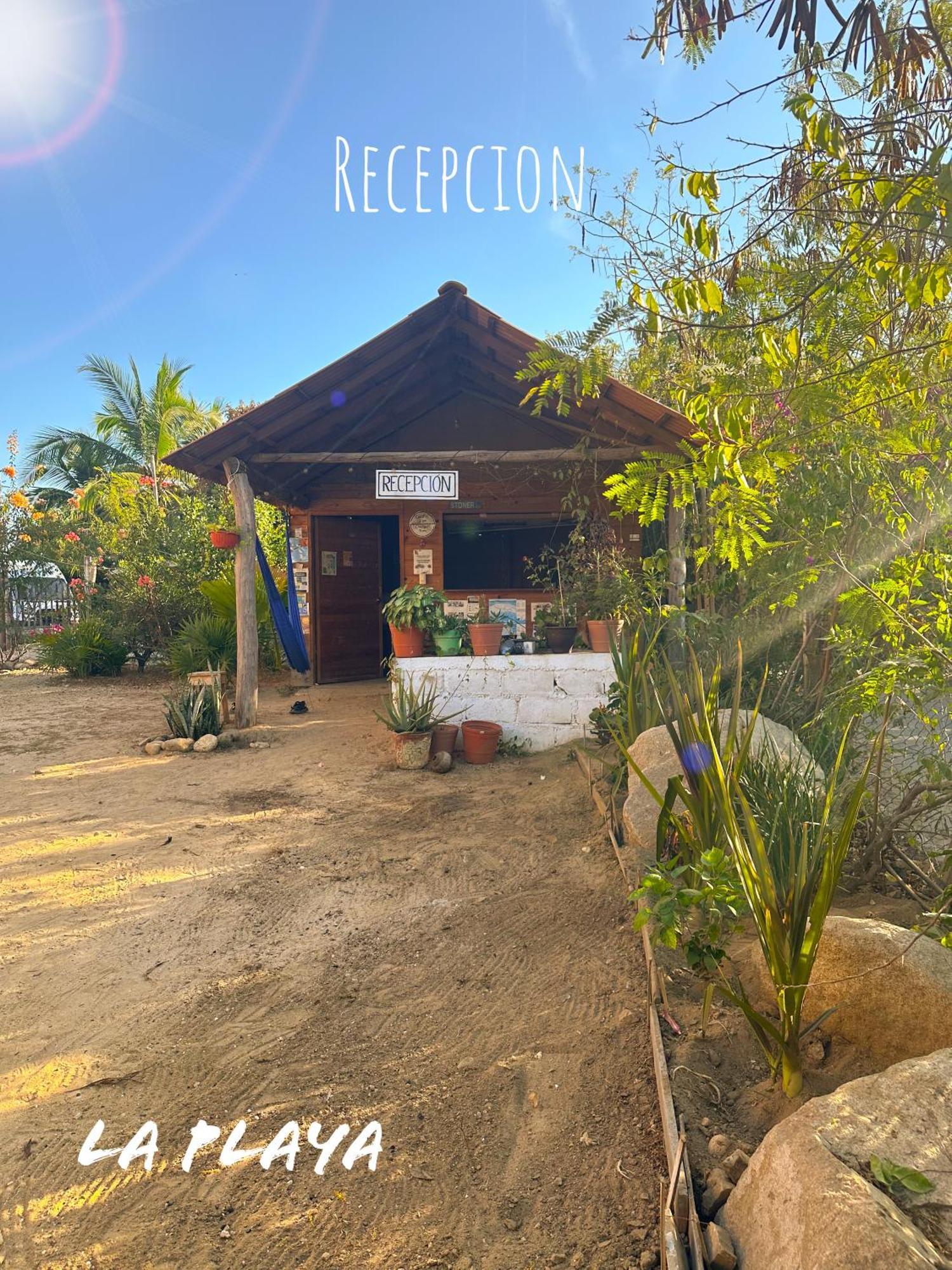 Hotel La Playa Mazunte Exterior photo